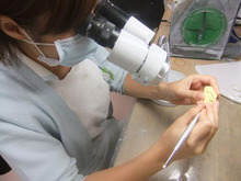 小野歯科医院の日常ブログ
